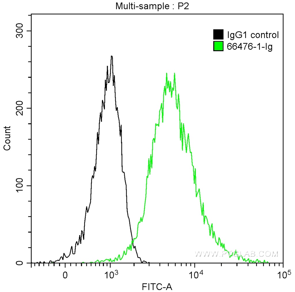 EZH2 Monoclonal antibody