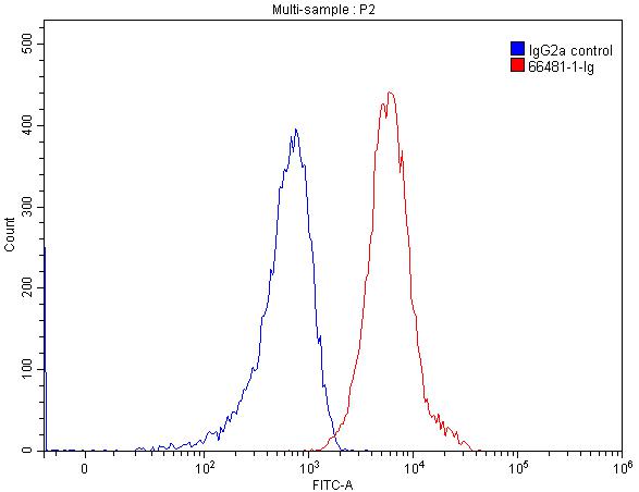 B7-H3 Monoclonal antibody