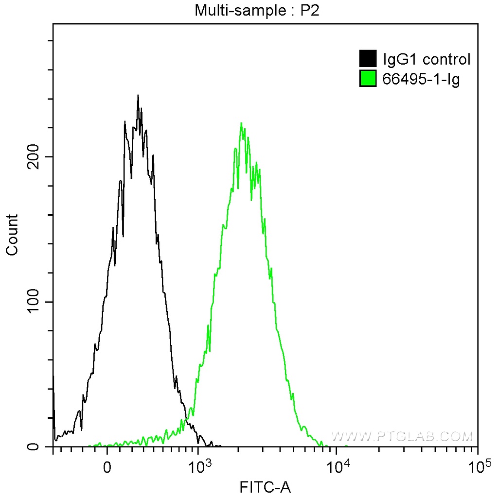 SURVIVIN Monoclonal antibody