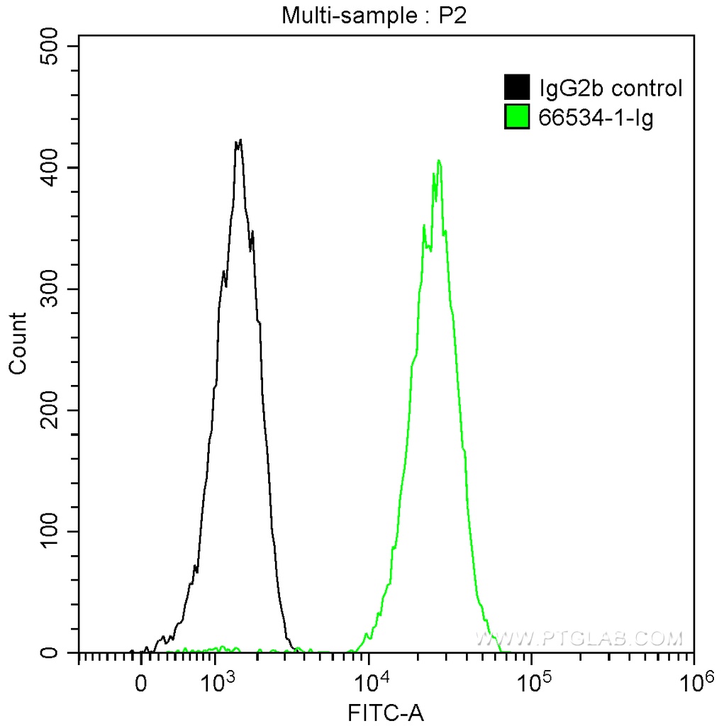 Cathepsin D Monoclonal antibody