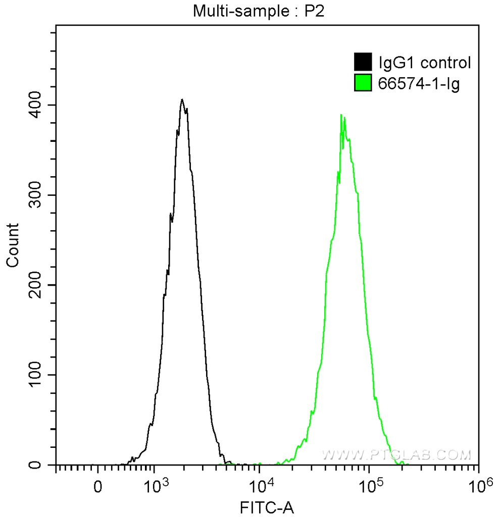 GRP78/BIP Monoclonal antibody