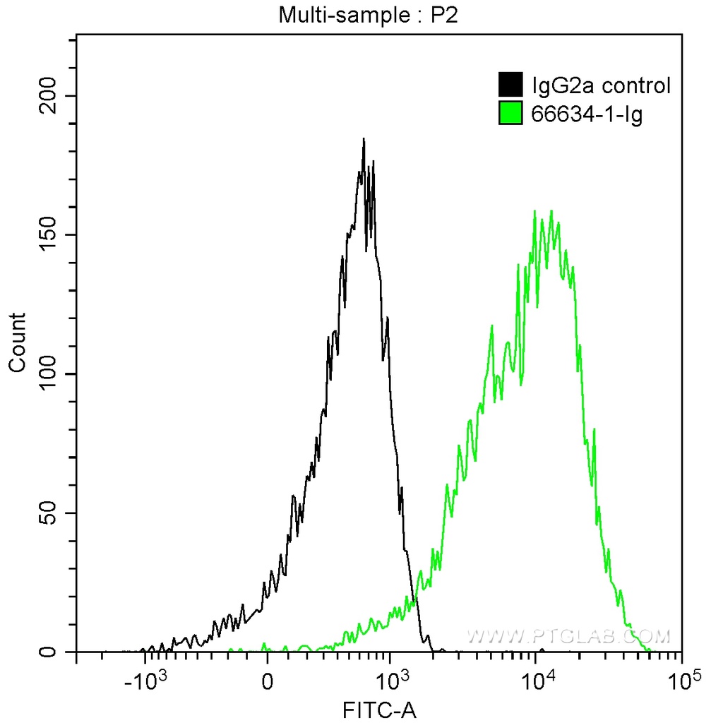 C5 Monoclonal antibody
