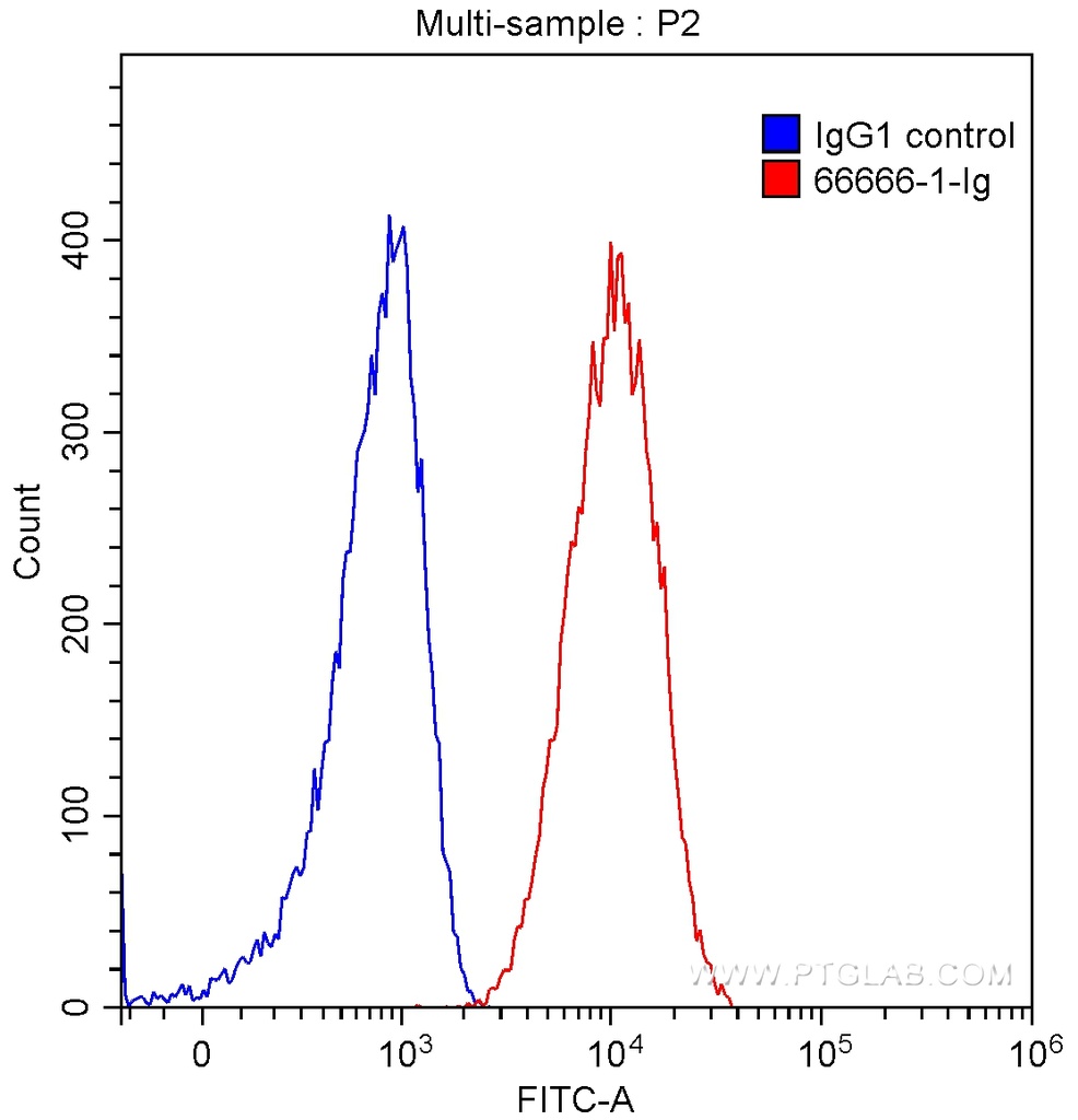 CD133 Monoclonal antibody