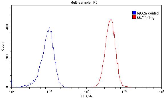 CD57 Monoclonal antibody