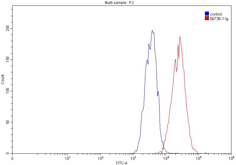 EPHA2 Monoclonal antibody