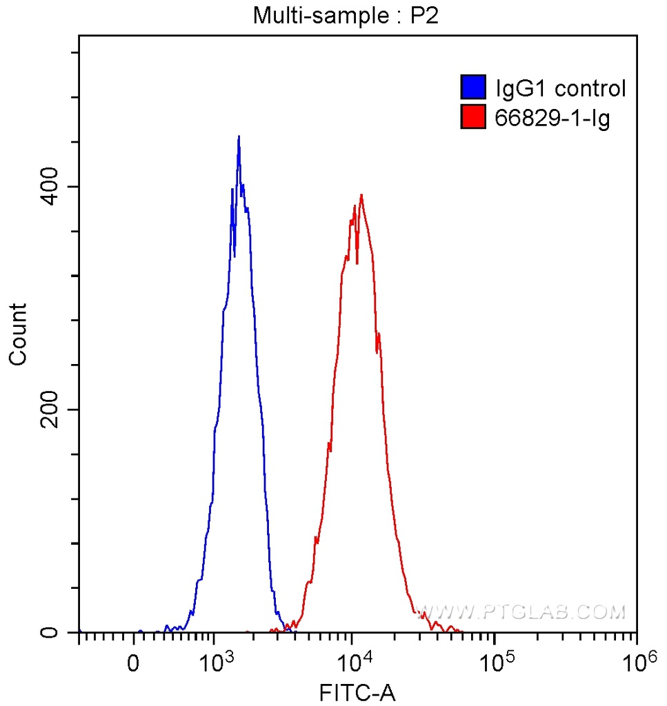 IL-12RB1 Monoclonal antibody