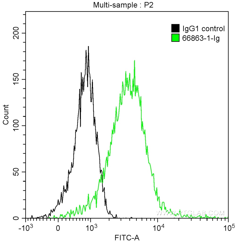 Phospho-Histone H3 (Ser10) Monoclonal antibody