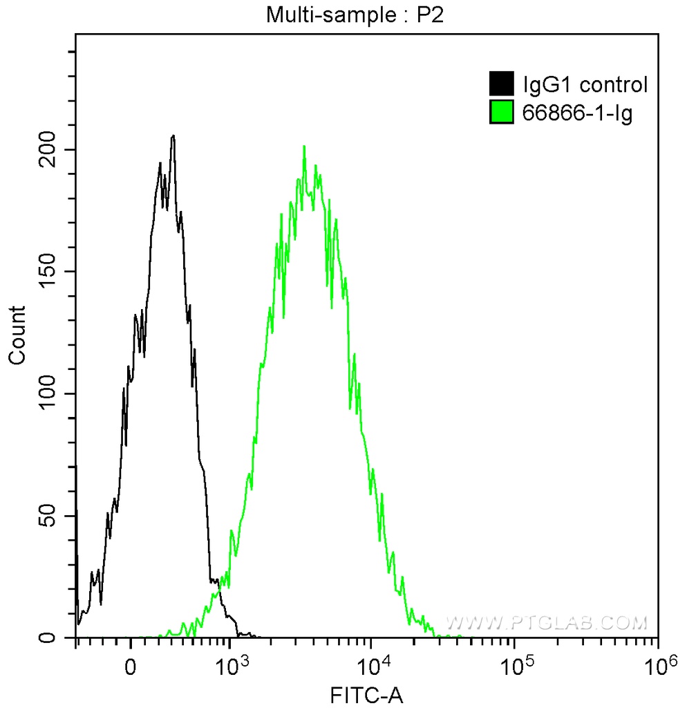 CD81 Monoclonal antibody
