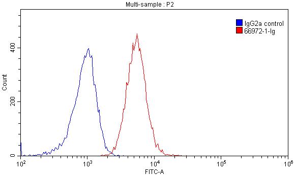 CD97 Monoclonal antibody
