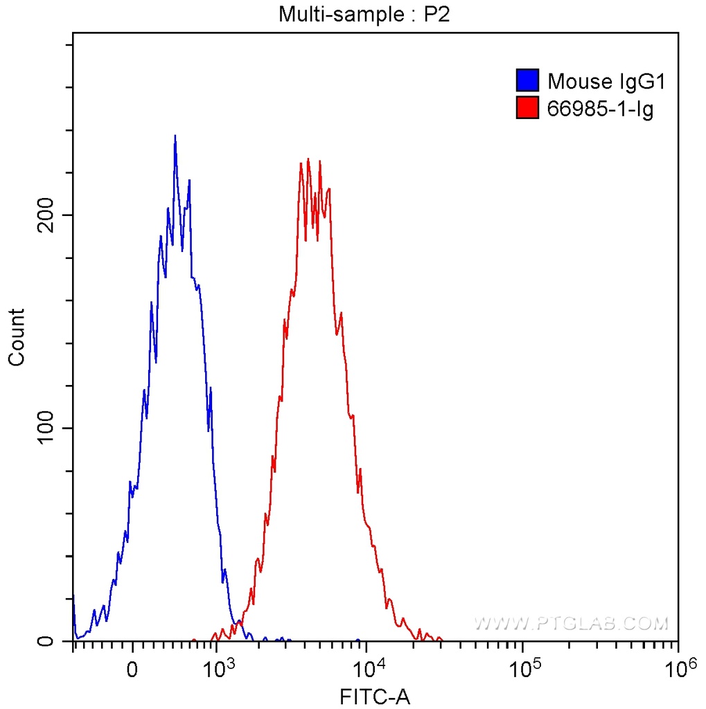 FBL Monoclonal antibody