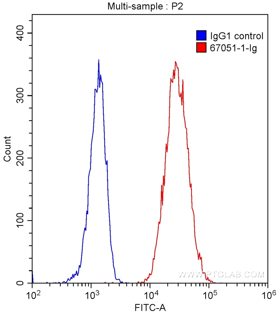 IL-4R Monoclonal antibody