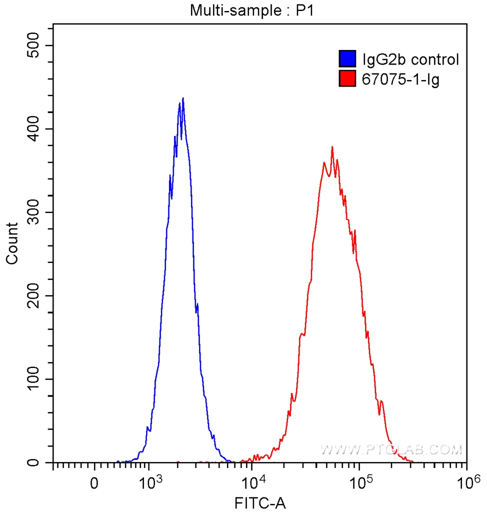 Endoglin/CD105 Monoclonal antibody