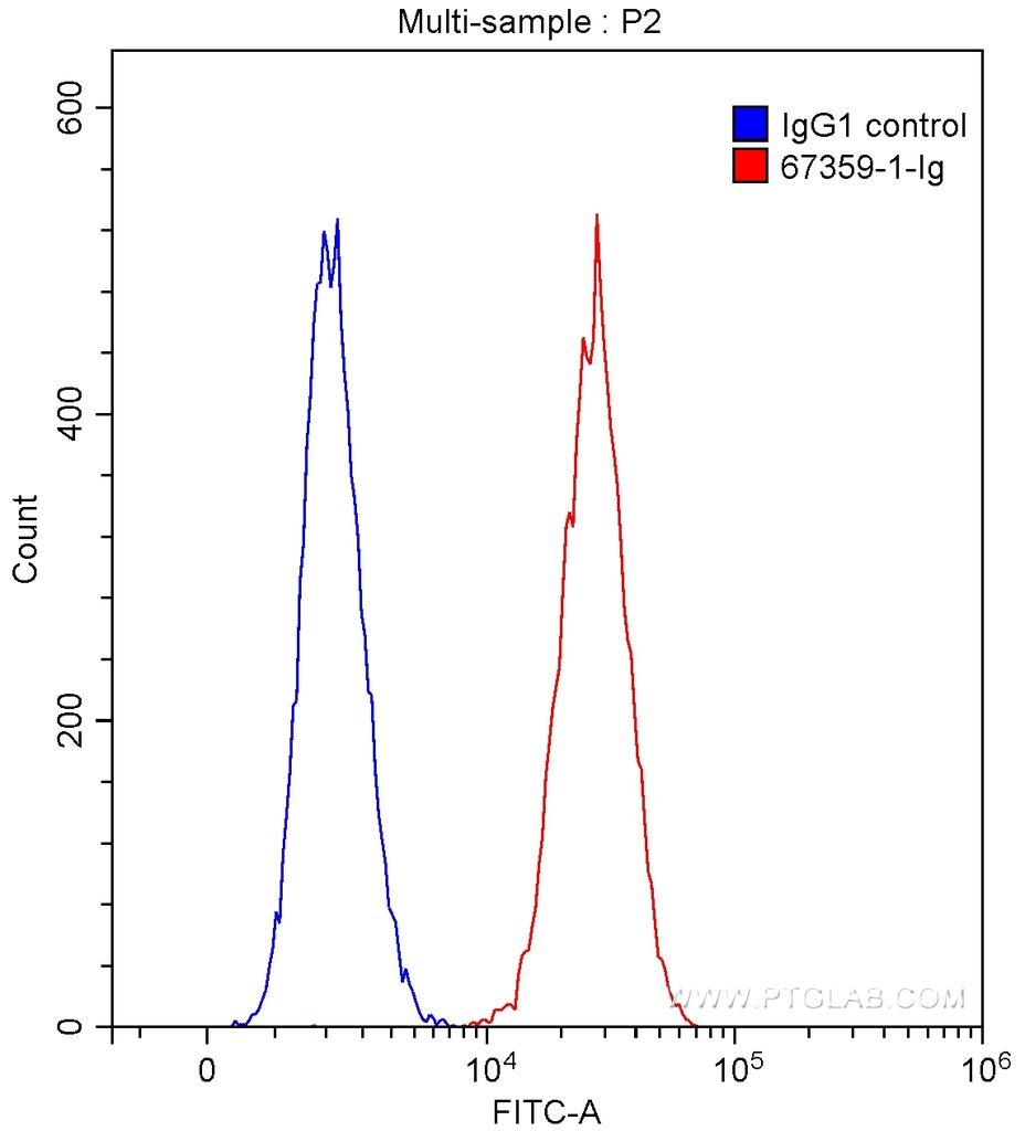 RALBP1 Monoclonal antibody