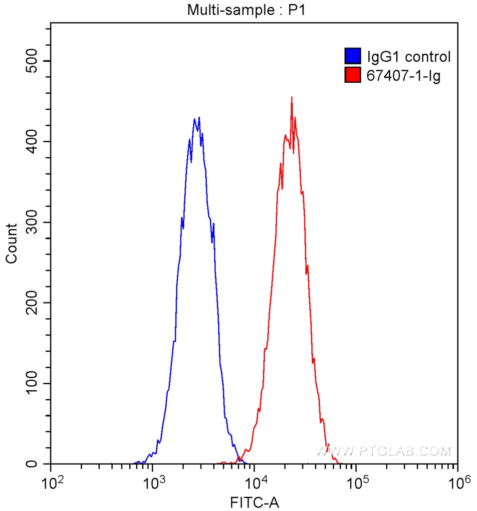 VEGFR2 Monoclonal antibody