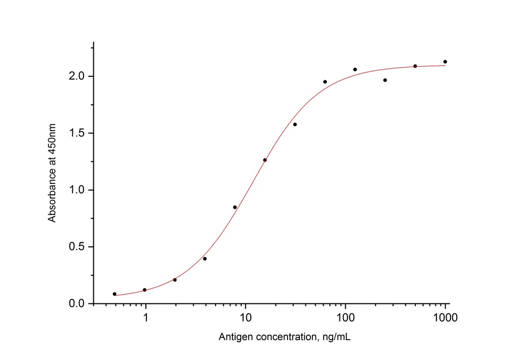 SARS-CoV-2 Nucleocapsid Phosphoprotein Monoclonal antibody