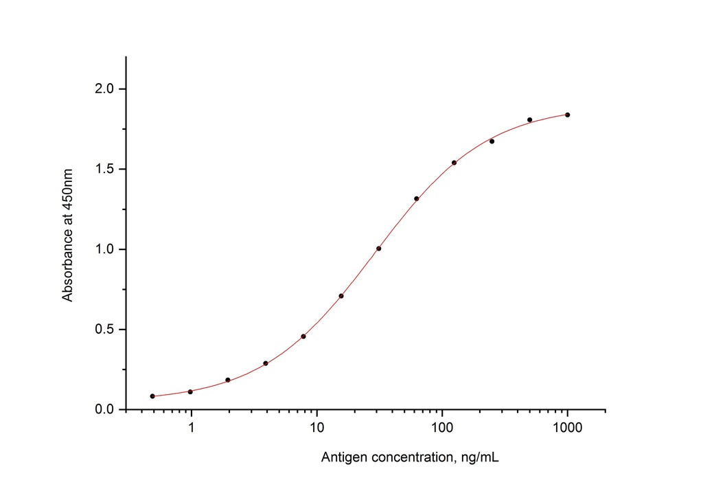 SARS-CoV-2 Nucleocapsid Phosphoprotein Recombinant antibody