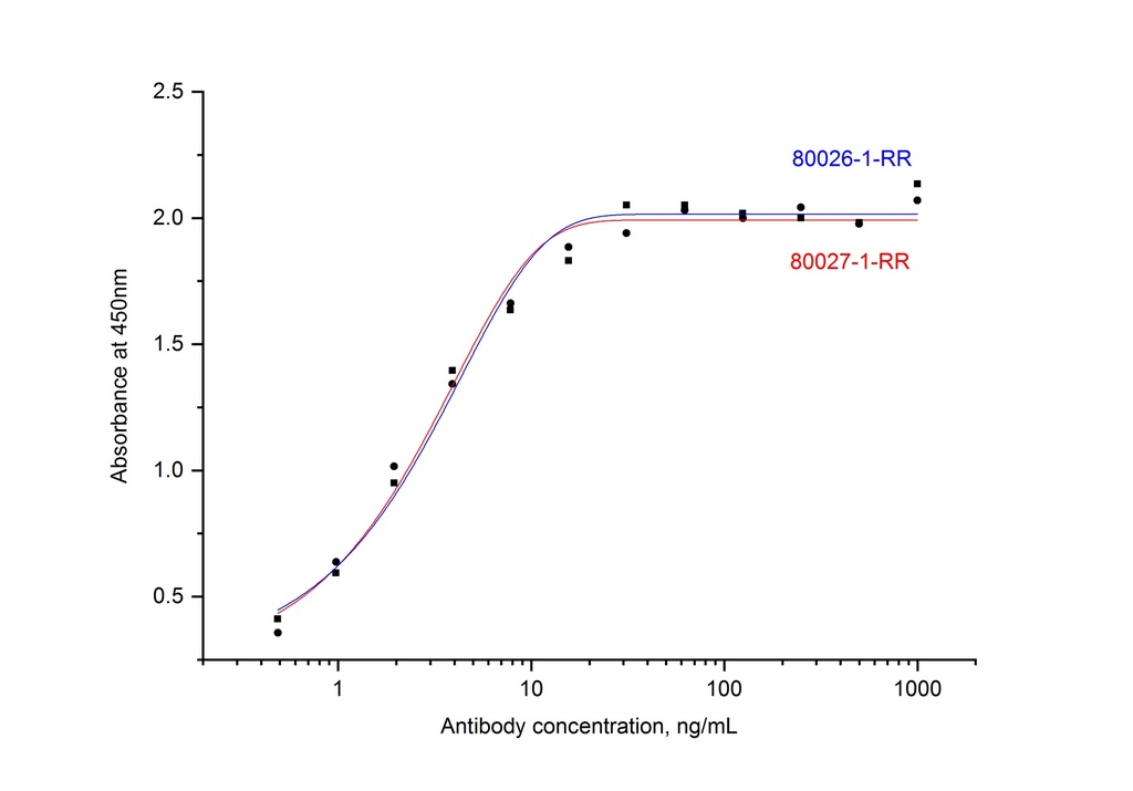 SARS-CoV-2 Nucleocapsid Phosphoprotein Recombinant antibody
