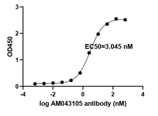 SARS-CoV-2 Spike Recombinant antibody