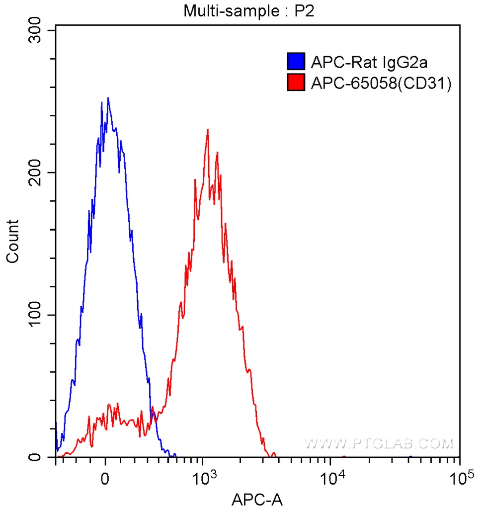 APC Anti-Mouse CD31 (390)