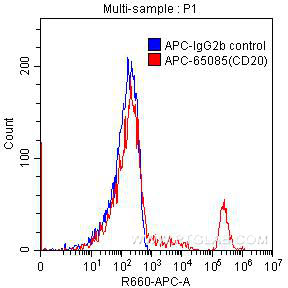 APC Anti-Human CD20 (2H7)