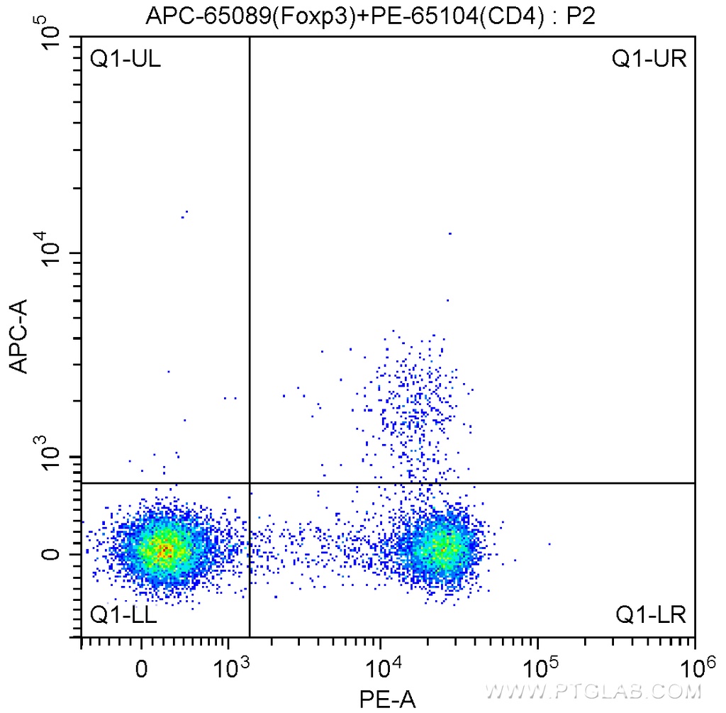 APC Anti-Mouse Foxp3 (3G3)