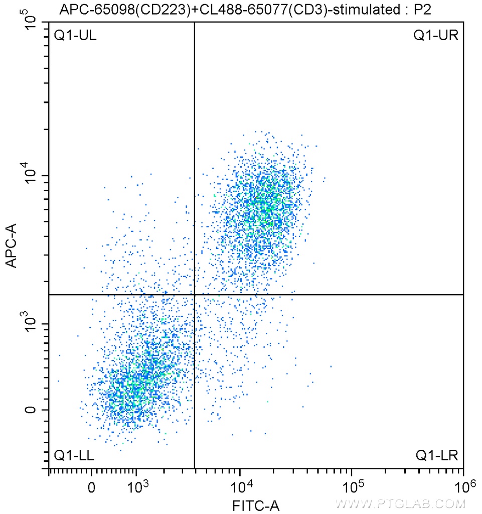 APC Anti-Mouse CD223 (C9B7W)