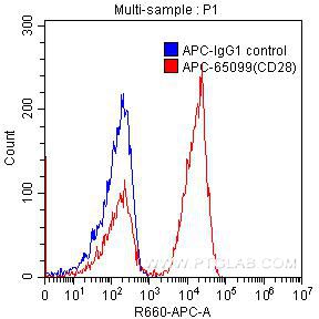 APC Anti-Human CD28 (CD28.2)