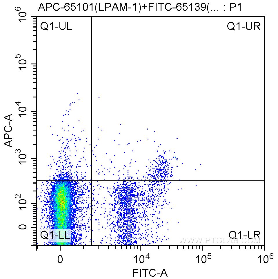 APC Anti-Mouse LPAM-1 (DATK32)