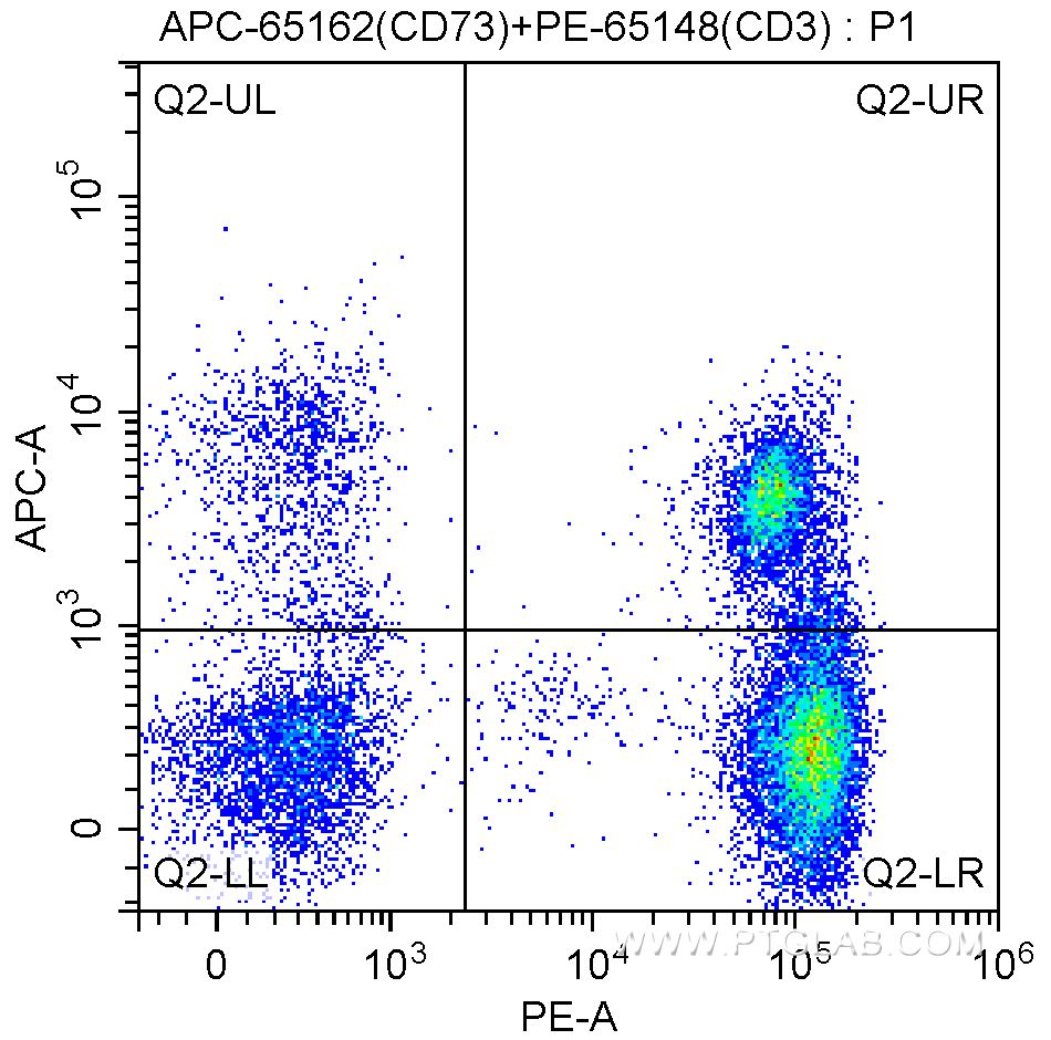APC Anti-Human CD73 (AD2)