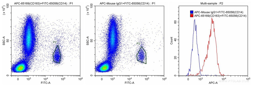APC Anti-Human CD163 (GHI/61)