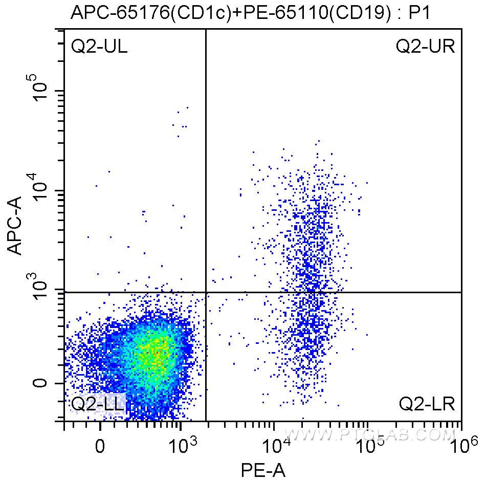 APC Anti-Human CD1c (L161)