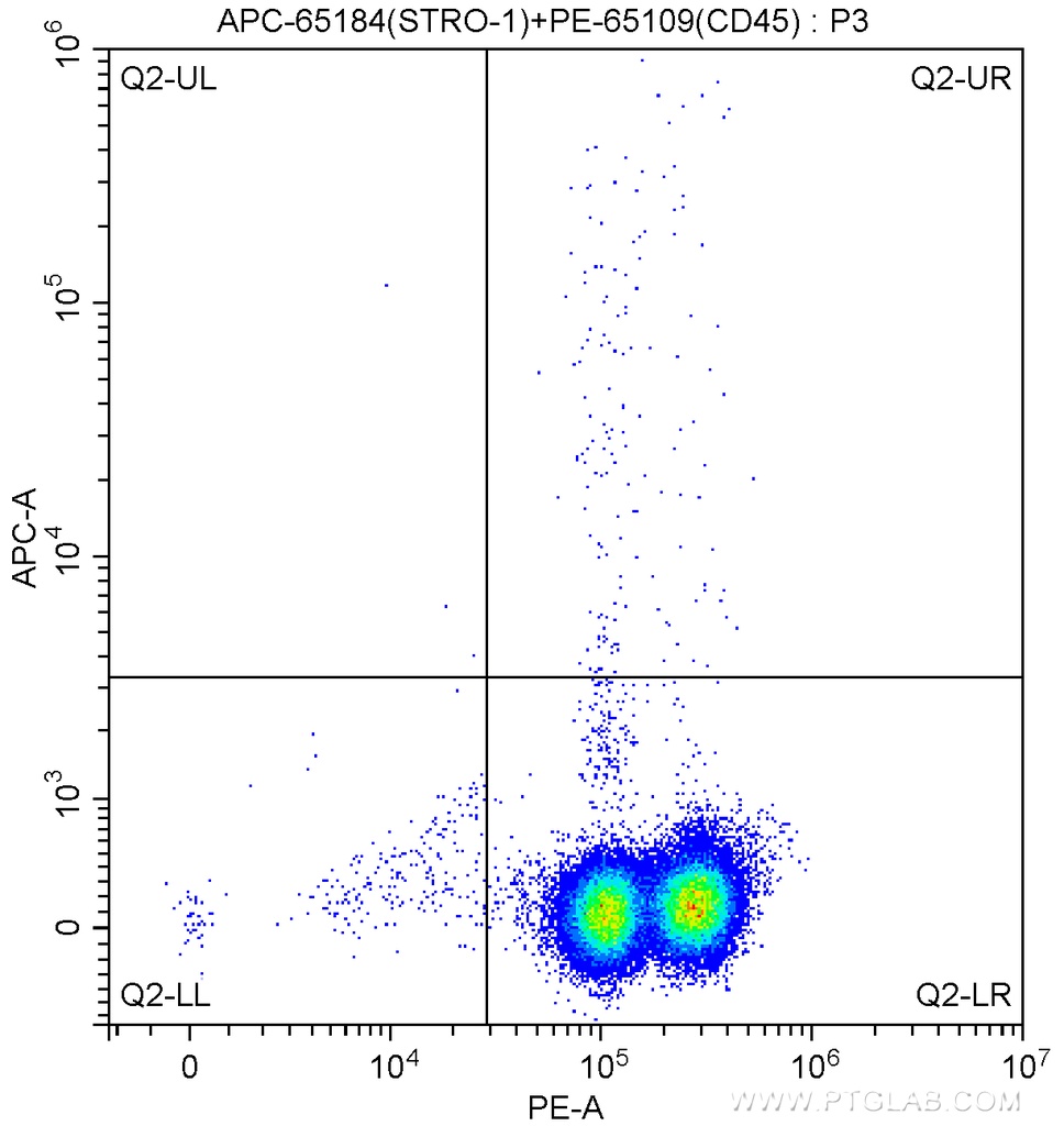 APC Anti-Human STRO-1 (STRO-1)