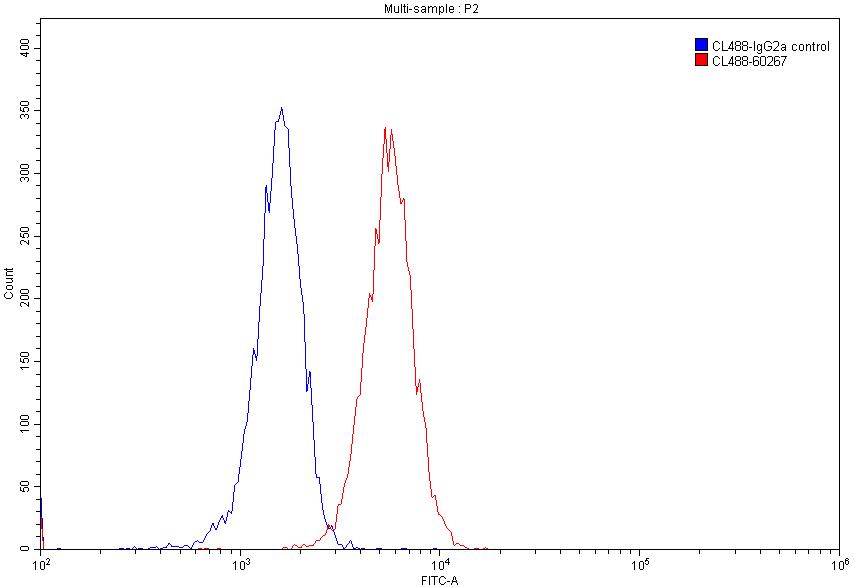 CoraLite®488-conjugated BAX Monoclonal antibody