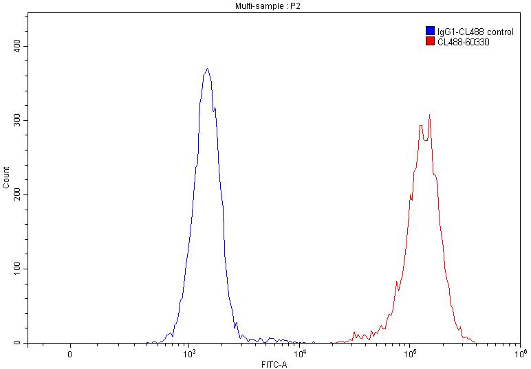 CoraLite®488-conjugated Vimentin Monoclonal antibody