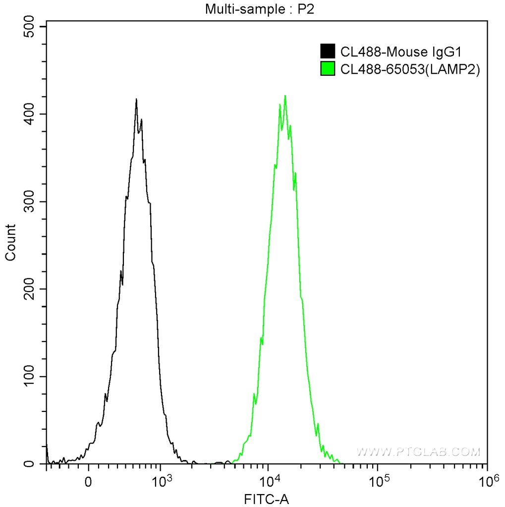 CoraLite®488 Anti-Human CD107b (H4B4)
