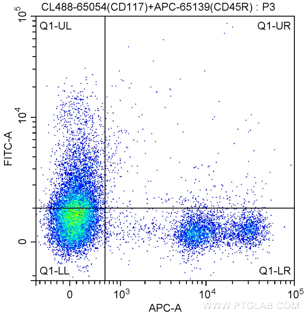 CoraLite®488 Anti-Mouse CD117 (2B8)