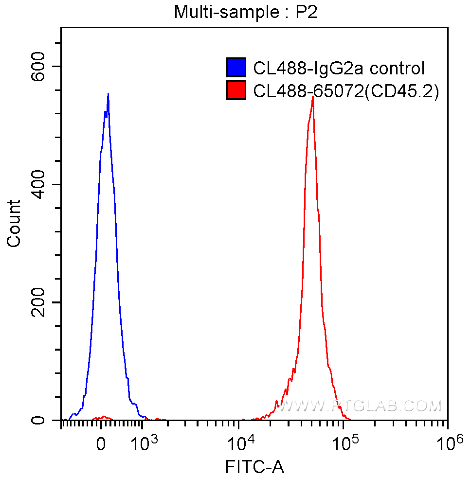 CoraLite®488 Anti-Mouse CD45.2 (104)