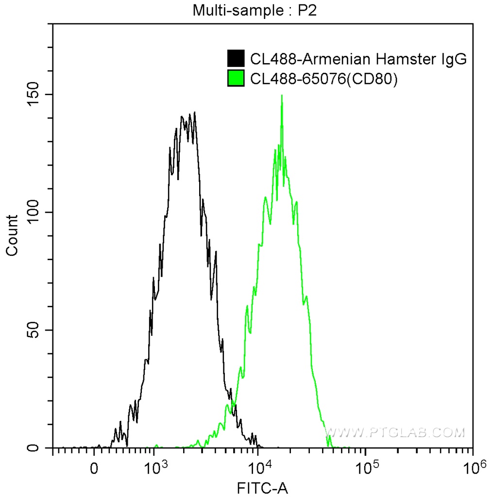 CoraLite®488 Anti-Mouse CD80 (B7-1) (16-10A1)