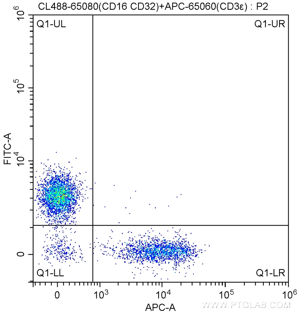 CoraLite®488 Anti-Mouse CD16 / CD32 (2.4G2)