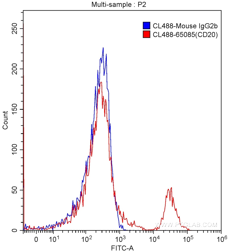 CoraLite®488 Anti-Human CD20 (2H7)