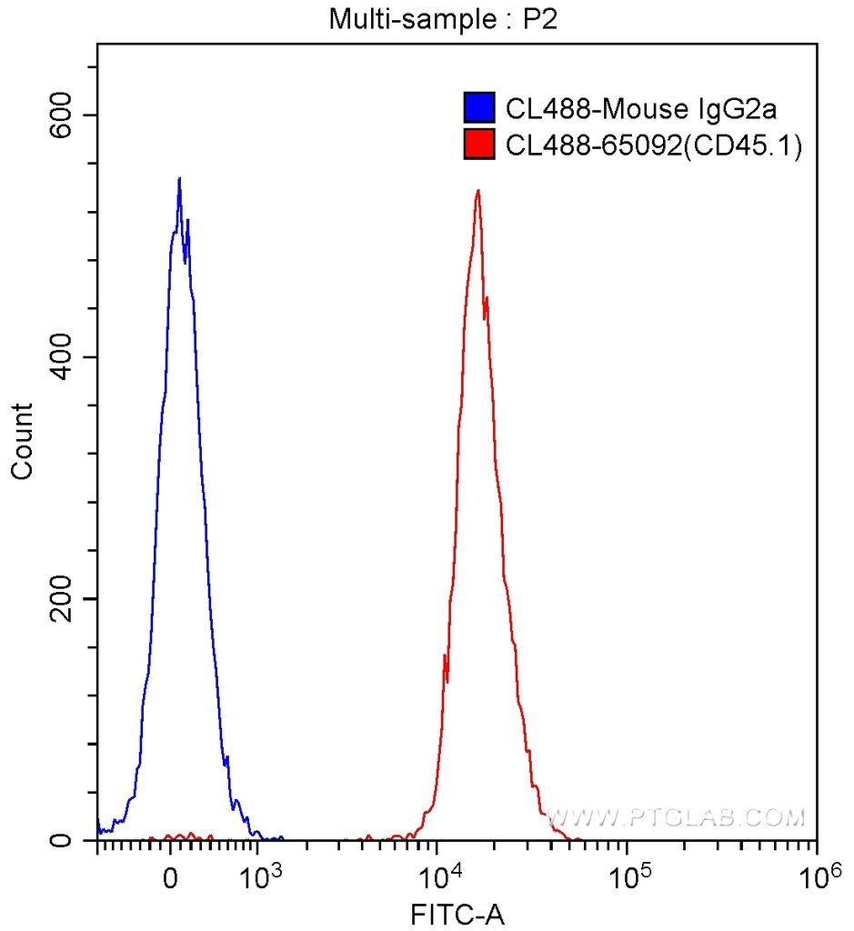 CoraLite®488 Anti-Mouse CD45.1 (A20)