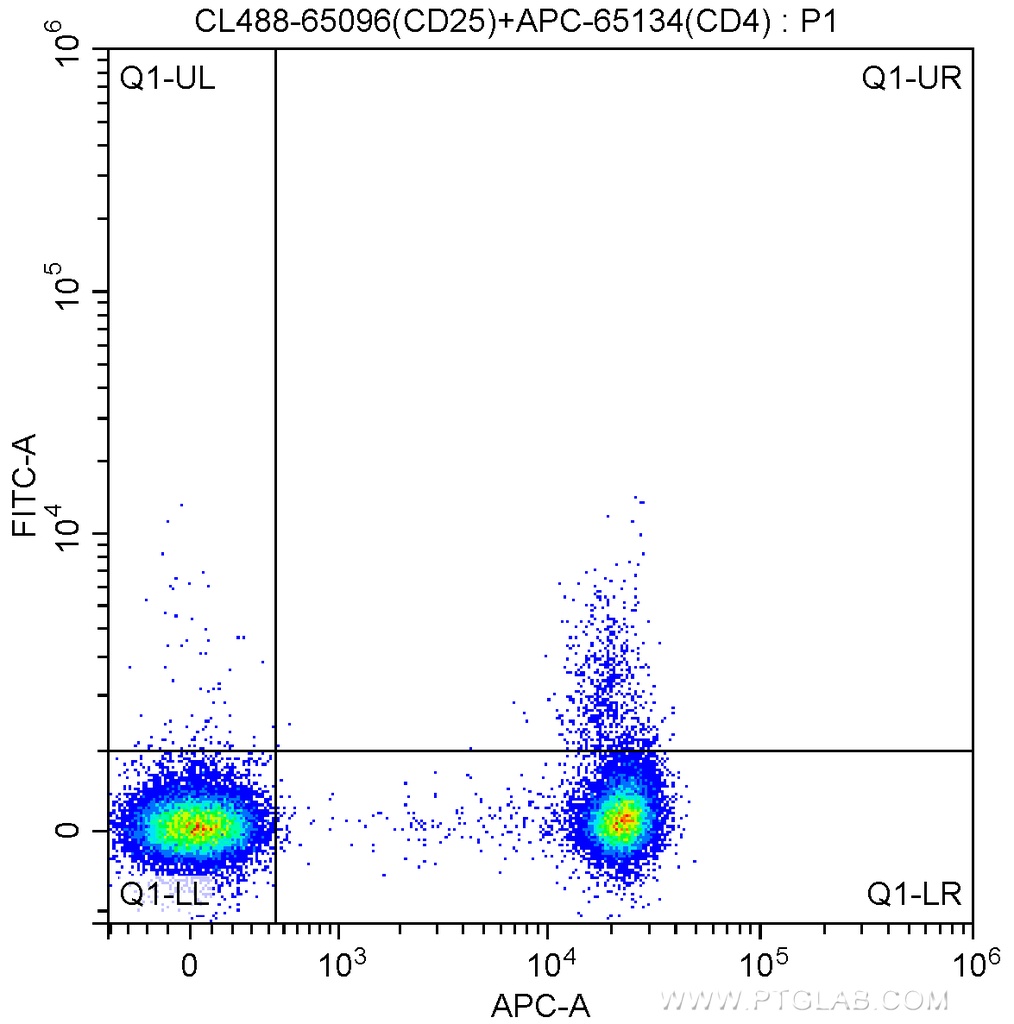 CoraLite®488 Anti-Human CD25 (BC96)