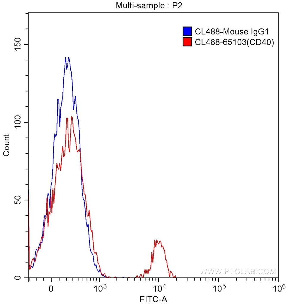 CoraLite®488 Anti-Human CD40 (G28.5)