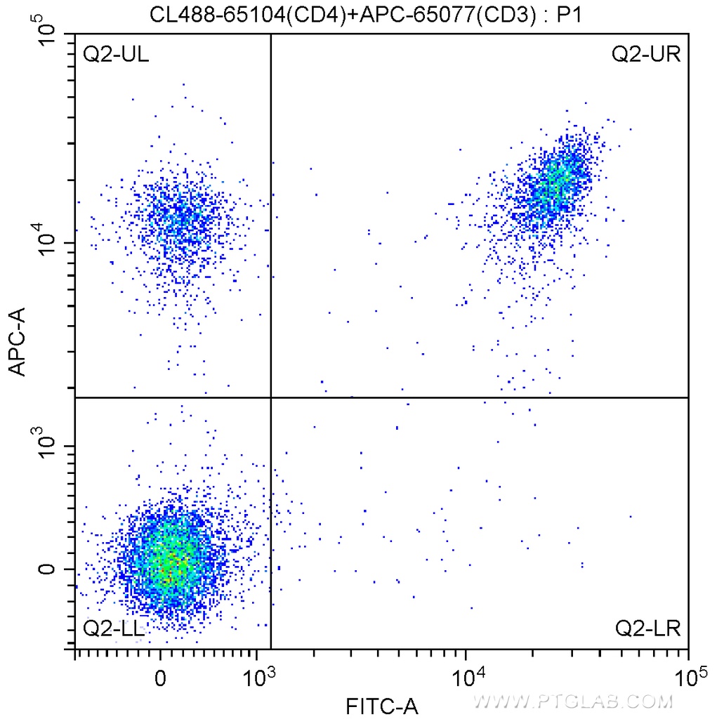 CoraLite®488 Anti-Mouse CD4 (GK1.5)