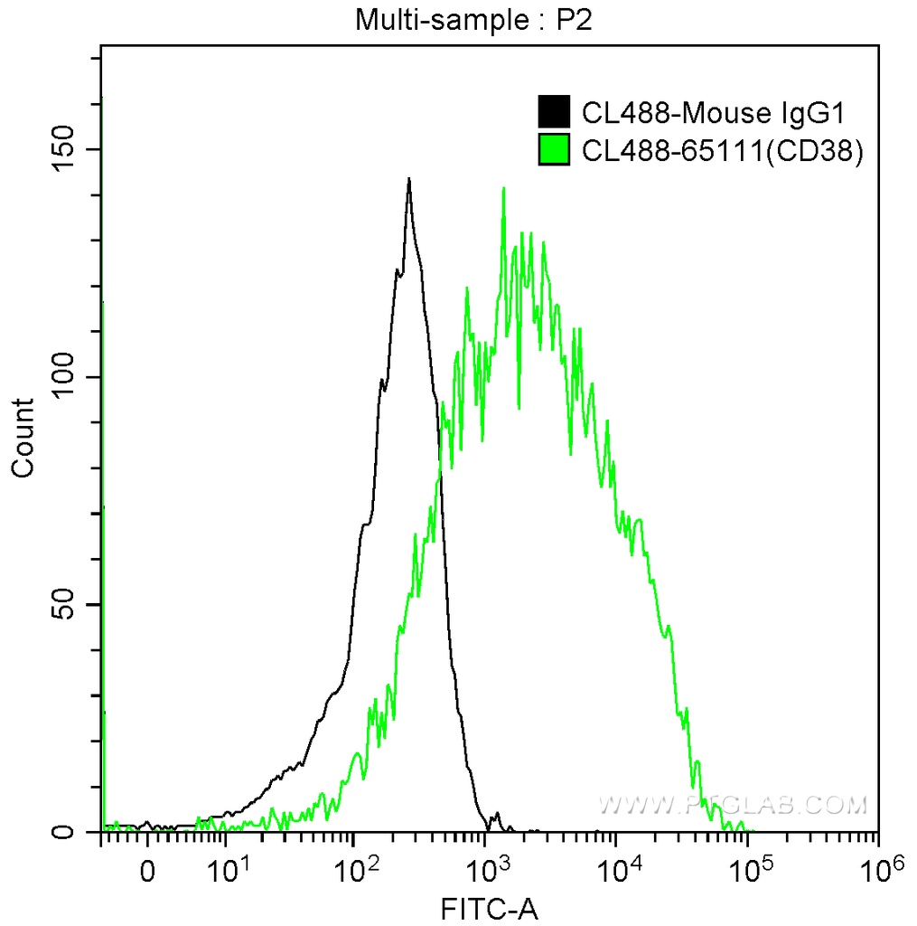CoraLite®488 Anti-Human CD38 (HIT2)