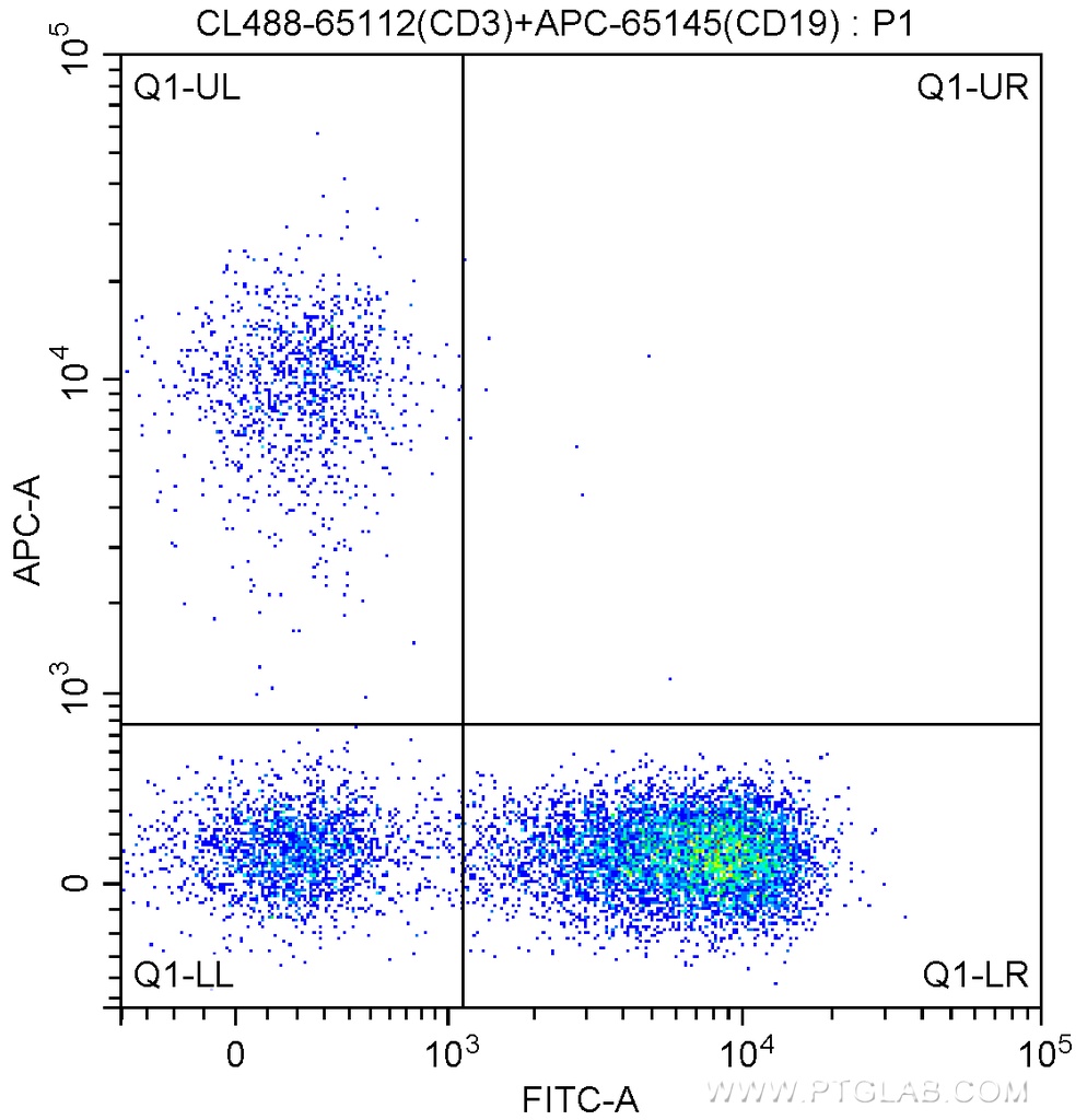 CoraLite®488 Anti-Human CD3 (Hit3a)