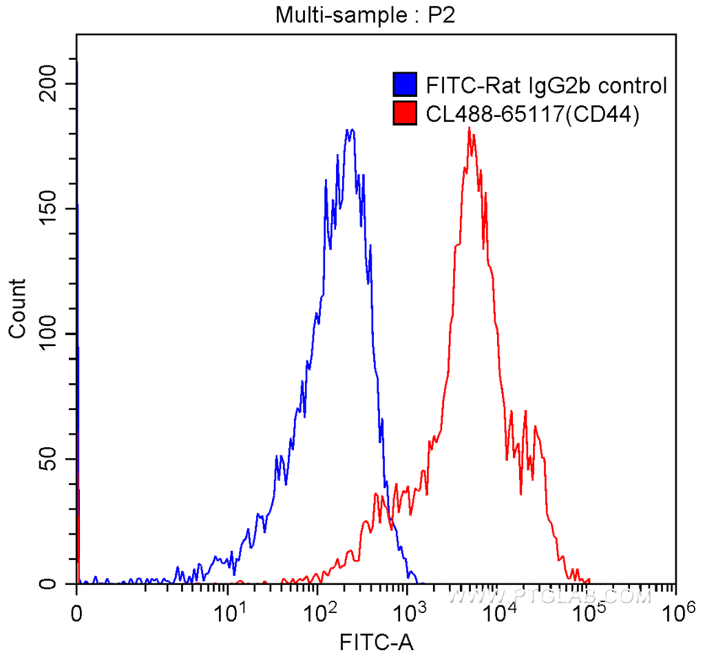 CoraLite®488 Anti-Mouse CD44 (IM7)