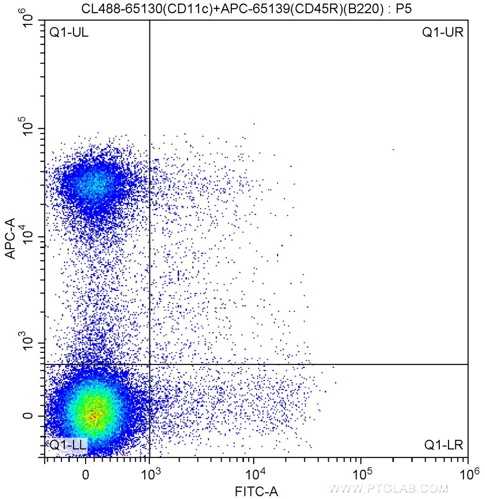 CoraLite®488 Anti-Mouse CD11c (N418)