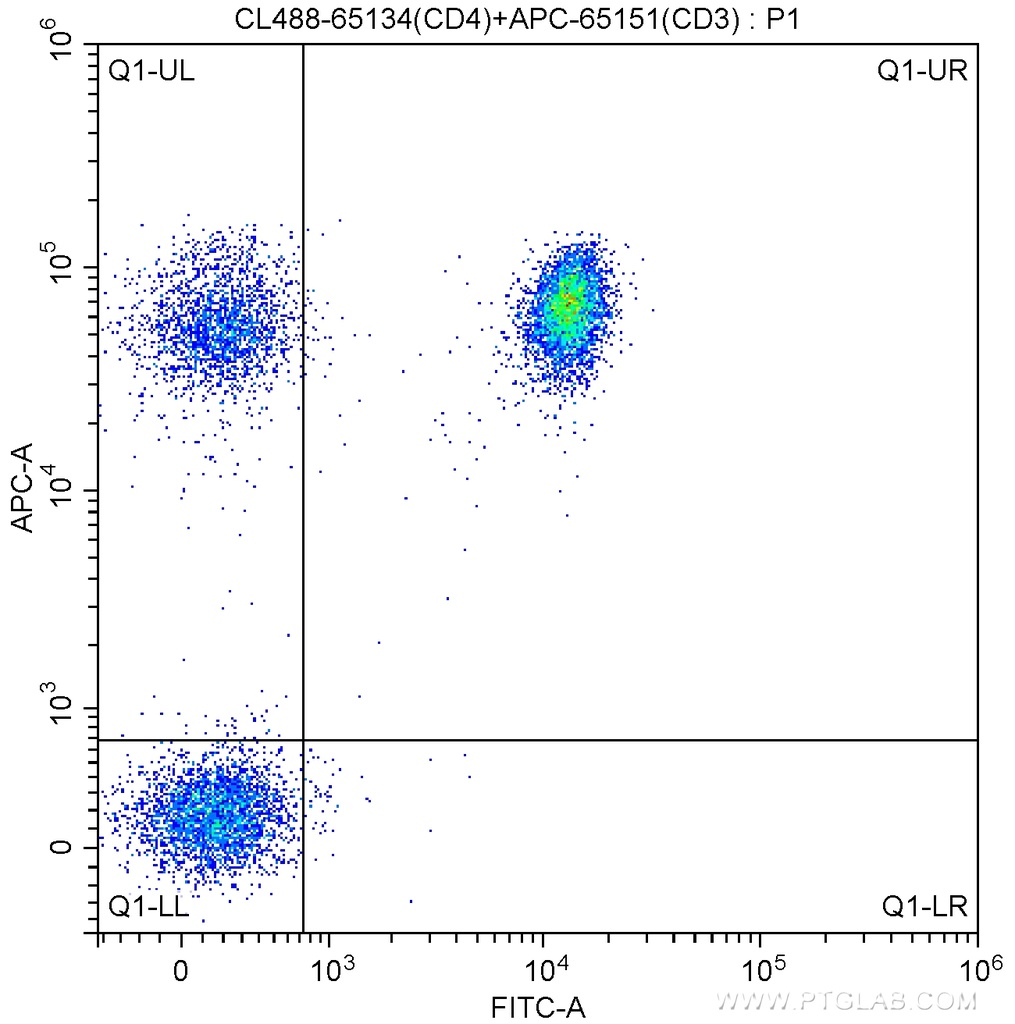 CoraLite®488 Anti-Human CD4 (OKT4)