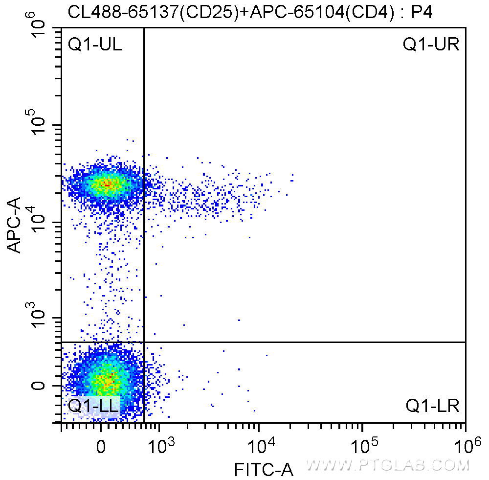 CoraLite®488 Anti-Mouse CD25 (PC61.5)
